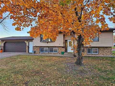 161 Stoneham Avenue, Maynard, MN 56260