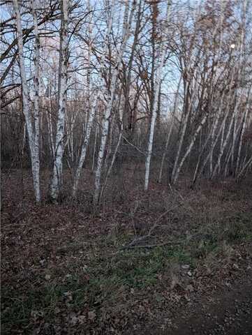 Lot A Woodmor Road, Brook Park, MN 55007