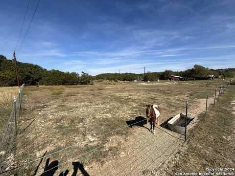 188 DE LA FUENTE RD, Blanco, TX 78606