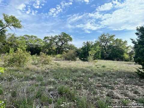 23111 Taylor Rdg, San Antonio, TX 78255