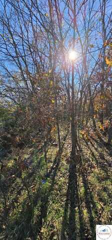 Lot 3 Red Fox, Otterville, MO 65348