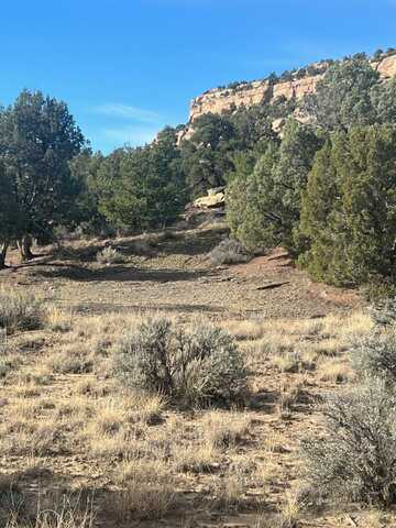 0 Navajo City Acres, Navajo Dam, NM 87412