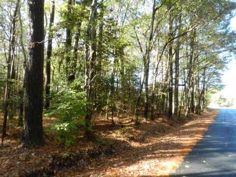 Lot E2 BATTLE POINT RD, JAMESVILLE, VA 23398