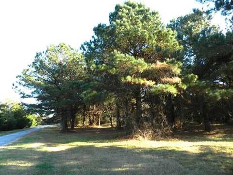 Lot 3&X BARLOW CREEK LN., EASTVILLE, VA 23347