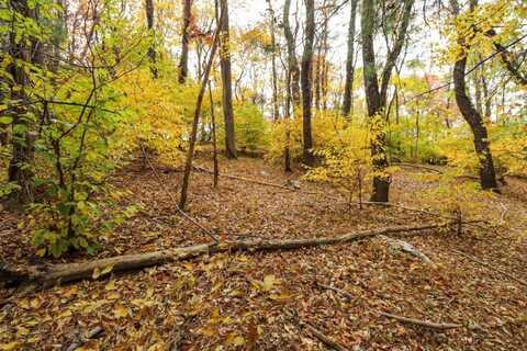 Lot 109 Old Hollow Trail, Fancy Gap, VA 24328