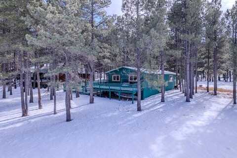 40 Via Del Rey, Angel Fire, NM 87710