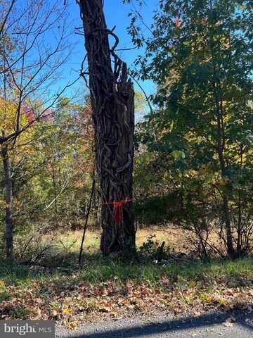 OLD CUMBERLAND ROAD, FLINTSTONE, MD 21530