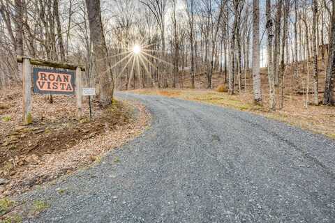 Lot 16 High Point Drive, Roan Mountain, TN 37687