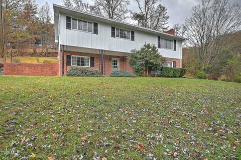 1091 Long Crescent Drive, Bristol, VA 24201