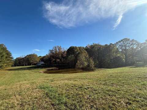 Old Pisgah Rd., BRUCETON, TN 38317