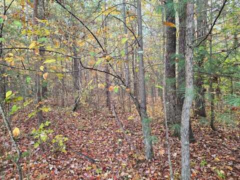 Lot 1 W. Robbins Road, Robbins, TN 37852