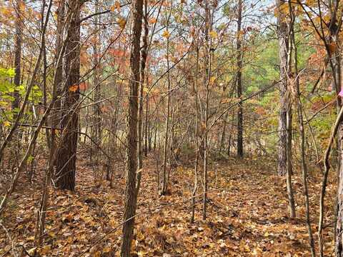 Lot 2 W. Robbins Road, Robbins, TN 37852