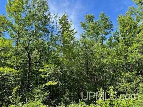 11.45 Acres Barker, Amberg T-WI, WI 54102