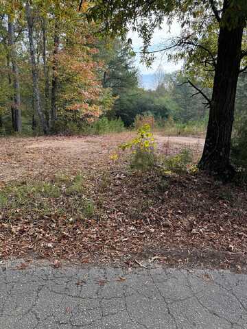 LOT 8 EVANS Cir, Jasper, AL 35501