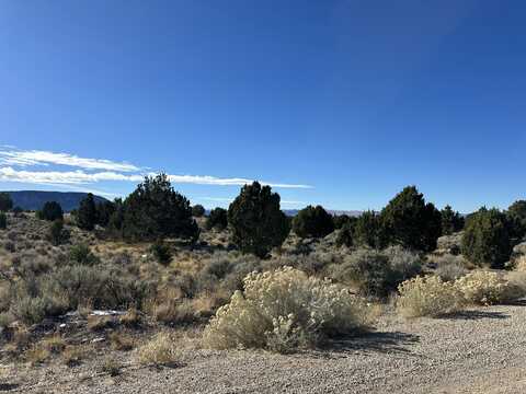 Parcel 01-0248-0009, Beaver, UT 84713