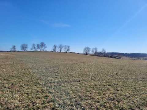 0000 Timber Ridge Lane, Harpers Ferry, IA 52146