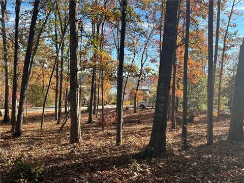 Pointe Harbor Drive lot: 30, Salem, SC 29676