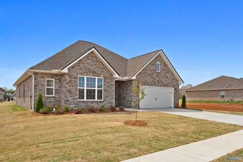 216 White Horse Way, Toney, AL 35773