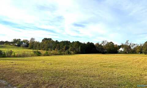 .7 Acres Appalachian Highway, Hokes Bluff, AL 35903