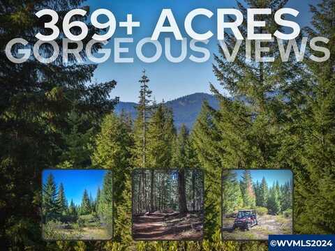 Highway 126 (TL301), Sweet Home, OR 97386