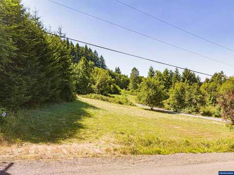 220 21st (Next To) Lot 3900 Av, Sweet Home, OR 97386