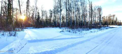 L15 E Fireweed Honey Road, Talkeetna, AK 99676