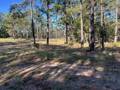 064 Private Road 6026, Brookeland, TX 75931