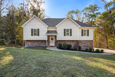 59 Roundtree Court, Flintstone, GA 30725