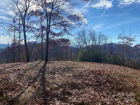 Mystic Way W lot: 4, Topton, NC 28781