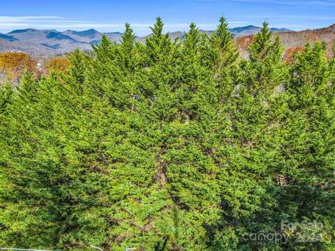 101 Cottage Settings Lane unit: 283, Black Mountain, NC 28711