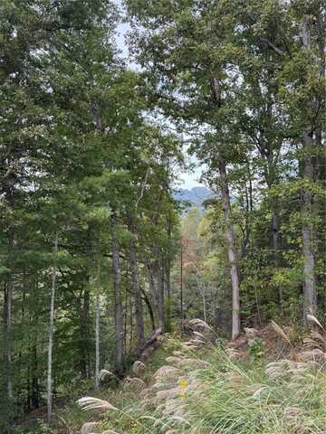 9999 Tree Top Lane, Marshall, NC 28753
