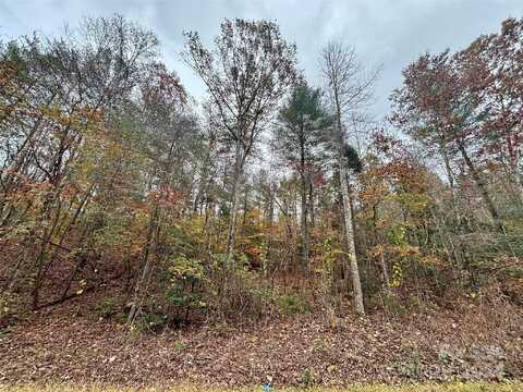 0 Jonestown Road, Bostic, NC 28018