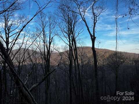 000 Mountain Breeze Trail, Asheville, NC 28803