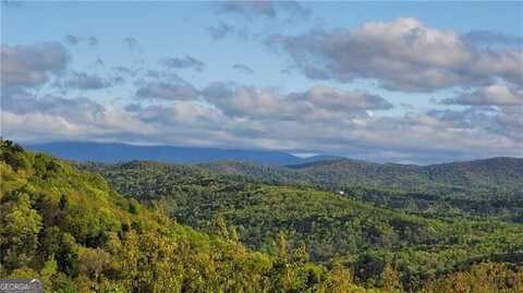 1012 Wild Turkey, Jasper, GA 30143