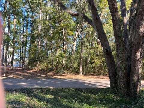 51 Bluffs Landing, Waverly, GA 31565