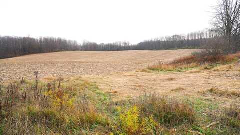 Lot 1 E Baker Road, Hesperia, MI 49421