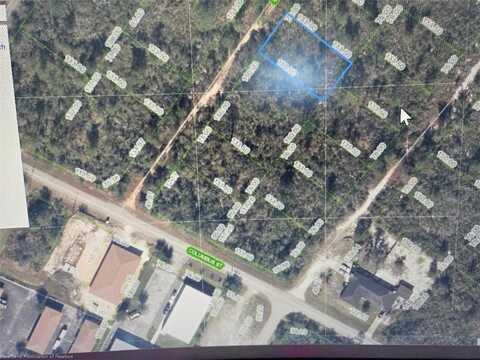 117 Drummond Avenue, Lake Placid, FL 33852