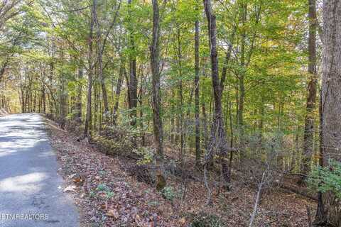0 E Gallaher Ferry Rd, Knoxville, TN 37932