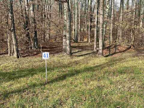 Lot 41 Winterset Drive, Davis, WV 26260