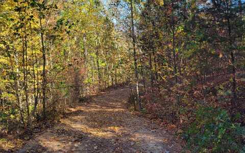 8 Ac Old Burnt Mountain, Ellijay, GA 30540