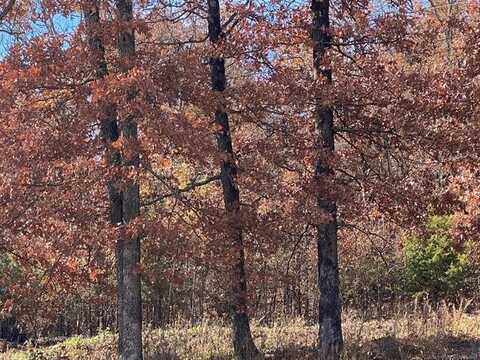 704 Woodlands Drive, Tahlequah, OK 74464