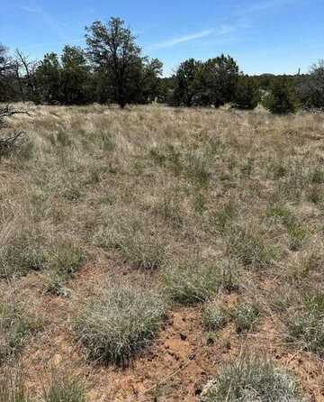 2 Rabbit Cir, Pie Town, NM 87825