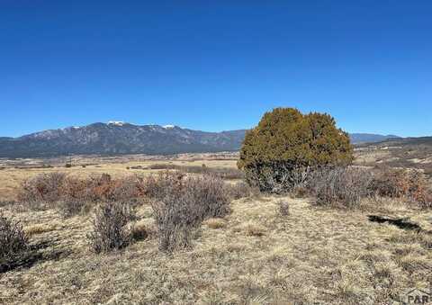 00 Pinto Dr, Colorado City, CO 81019