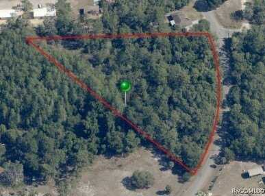 6154 S Lewdingar Drive, Homosassa, FL 34446