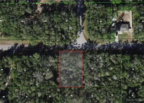 8236 W Catrina Lane, Crystal River, FL 34428
