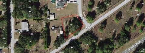 6123 W Alessi Place, Dunnellon, FL 34433