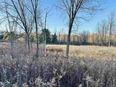 ELM Avenue, SHAWANO, WI 54166