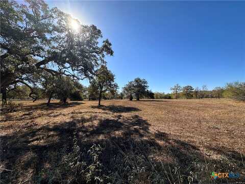 209 Mulberry Road, Cuero, TX 77954