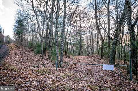 Lot 22 BUCK RIDGES ROAD, FRANKLIN, WV 26807