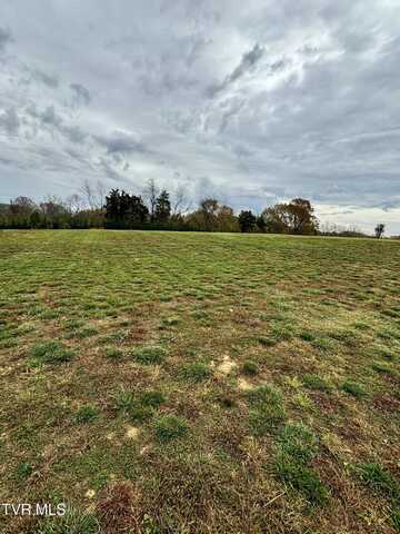 Lot 4 Turkey Ridge Lane, Piney Flats, TN 37686